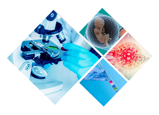 馨怡爱心供卵机构